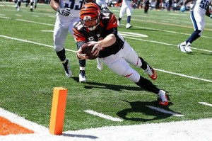 Dalton TD