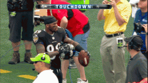 Steve Smith x Panthers gif