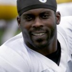 vick steelers