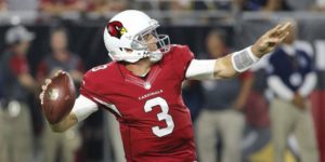 carson palmer